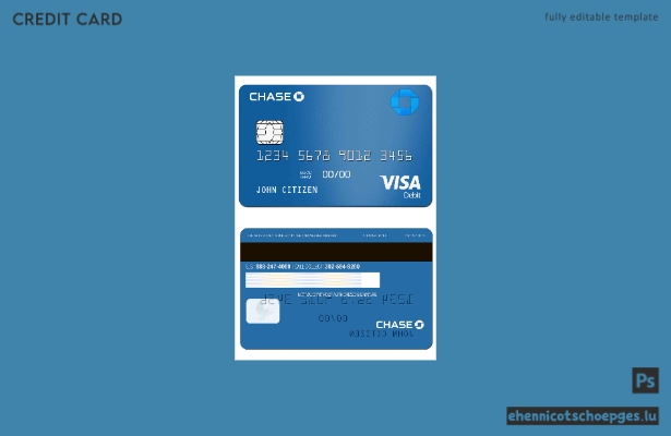 USA Chase Bank Visa Debitkarte – Beispielvorschau
